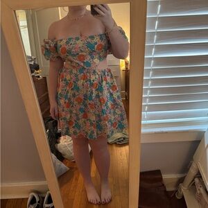 Showpo Multicolor Floral Dress